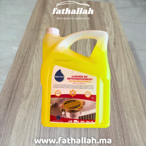 Bidon de 5 litres liquide de refroidissement Liqui-cool antigel pour voiture Maroc