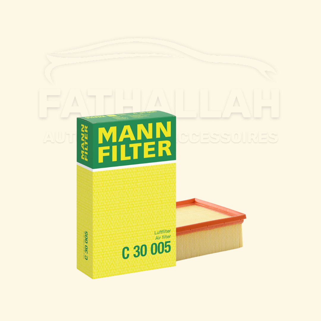 Filtre à Air Mann-Filter C 30 005 - Qualité d'Origine Allemande
